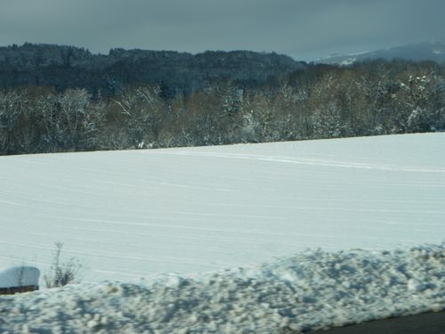 Paysage1