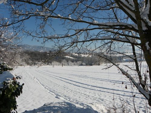 Paysage6